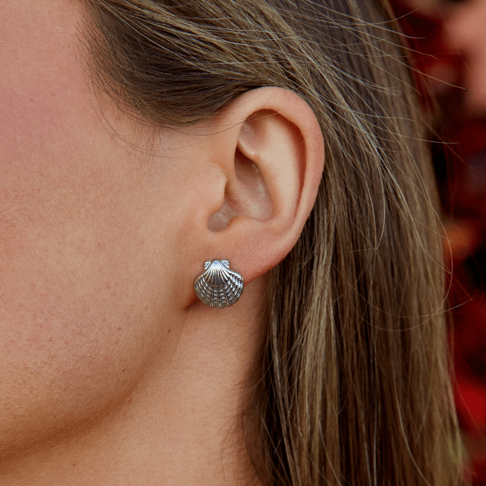 Pendientes de Concha y Estrella de Mar de Plata