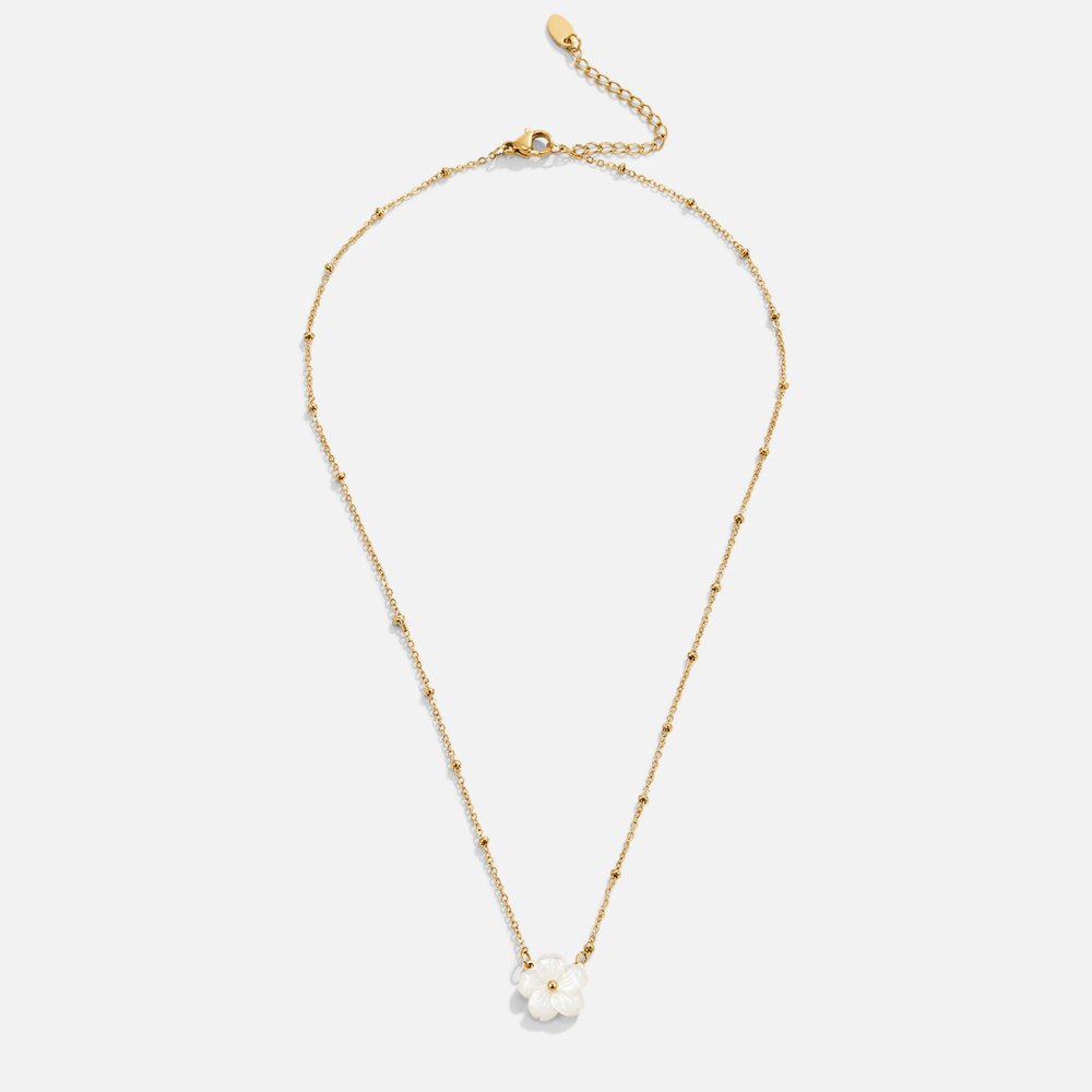 Collar de Flor Blanca en Floración