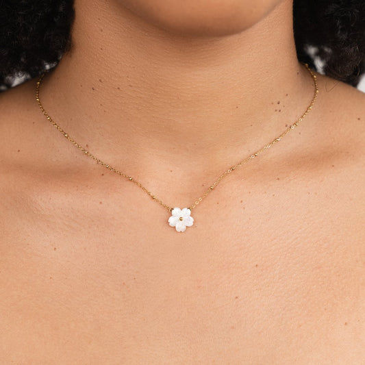 Collar de Flor Blanca en Floración